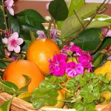 'roberta By Interhome Capo Vaticano