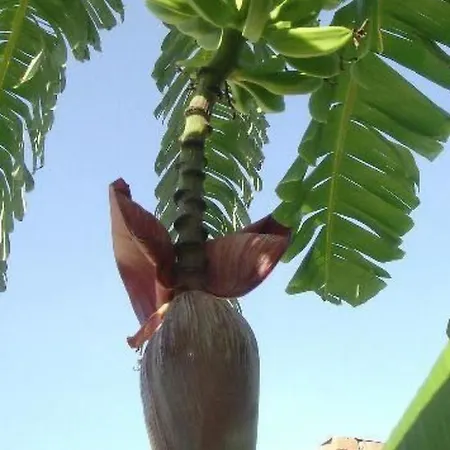 'roberta By Interhome Capo Vaticano