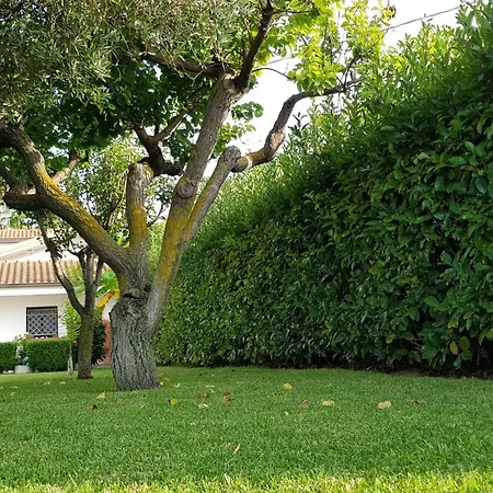 'roberta By Interhome *