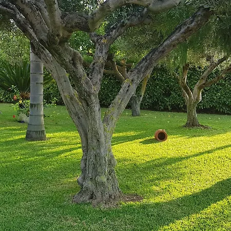 公寓 'roberta By Interhome 梵蒂冈角