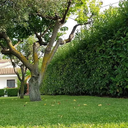 Appartamento 'roberta By Interhome