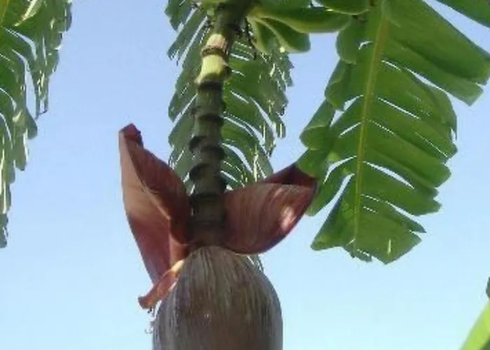 'roberta By Interhome 梵蒂冈角